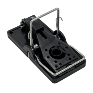 Muizenval Snap-T vooraanzicht