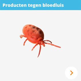 Bloedluis bestrijden