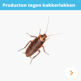 Kakkerlakken bestrijden