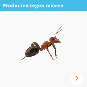 Mieren bestrijden