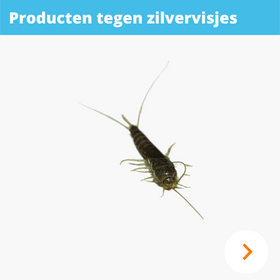 Zilvervisjes bestrijden