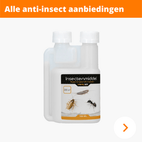 Kruipende Insecten