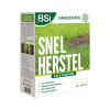 BSI snel herstel graszaden 2,5KG