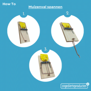 Muizenval spannen instructies