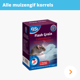 Muizengif